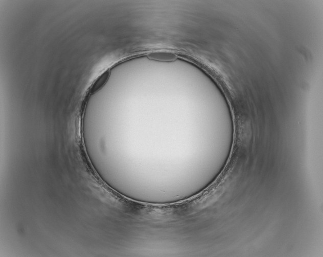 X0000110911365200907091428