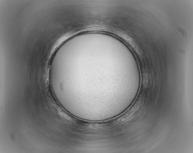 X0000110911366200907091428