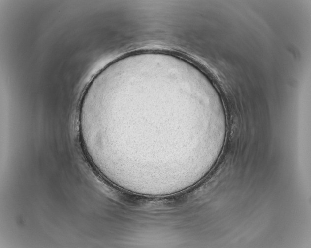 X0000110911367200907091428