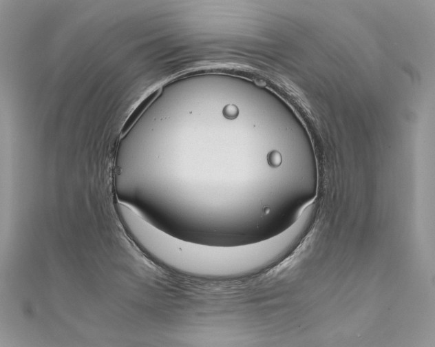 X0000110911369200907091428