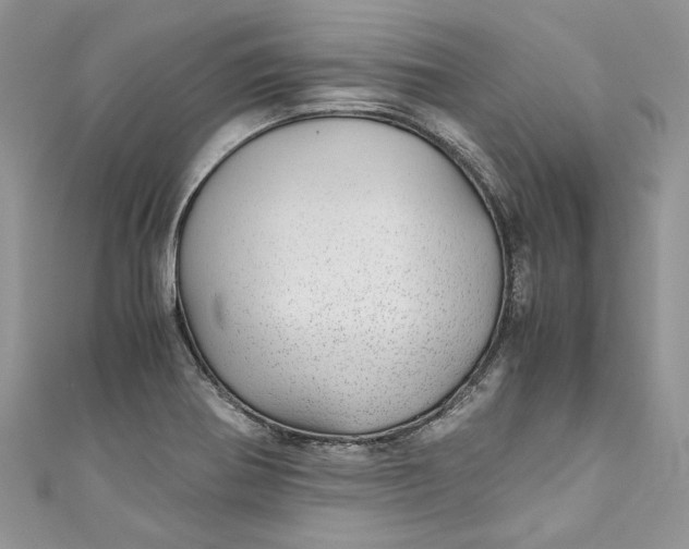 X0000110911370200907091428