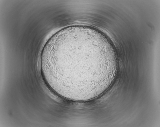 X0000110911371200907091428