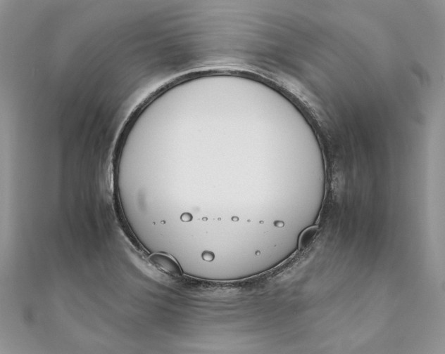 X0000110911372200907091428