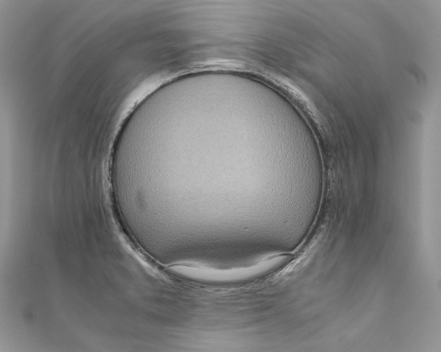 X0000110911373200907091428