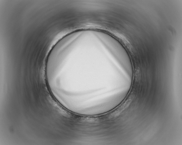 X0000110911374200907091427