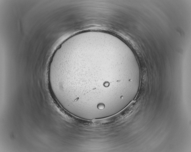 X0000110911375200907091427