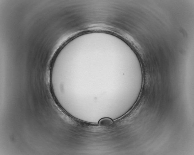 X0000110911376200907091427