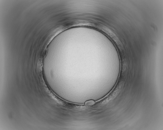 X0000110911377200907091427