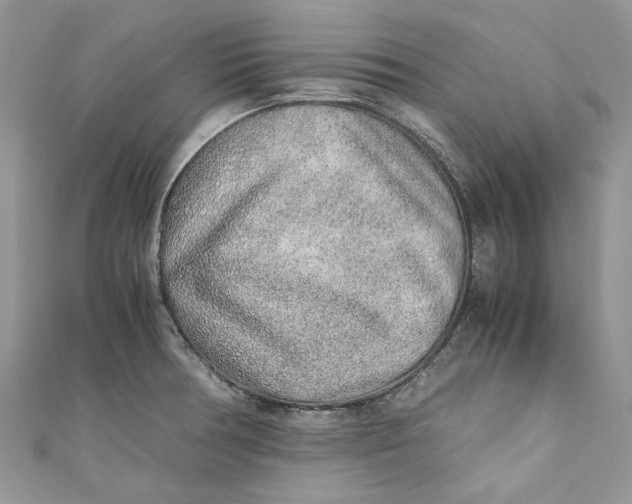 X0000110911378200907091427