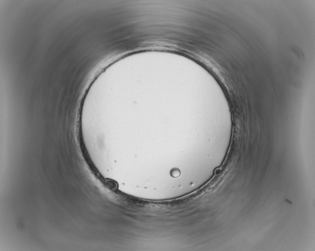 X0000110911379200907091427