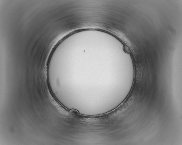 X0000110911380200907091427