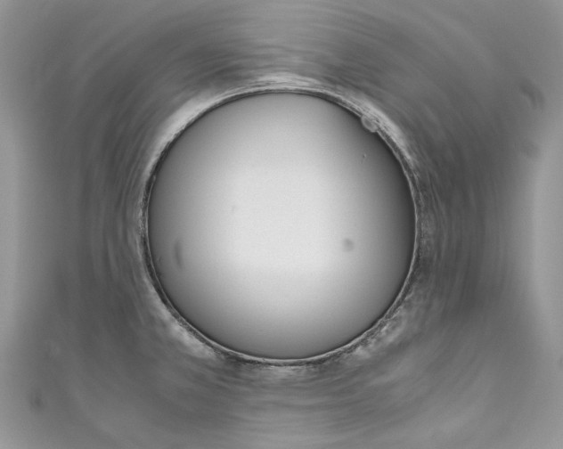 X0000110911381200907091427