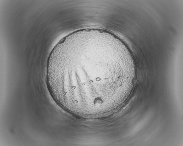 X0000110911383200907091427