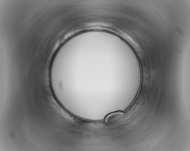 X0000110911384200907091427