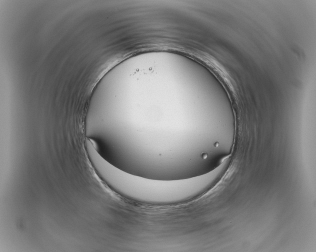 X0000110911385200907091427