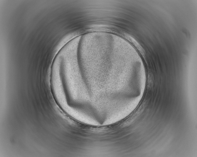 X0000110911386200907091427