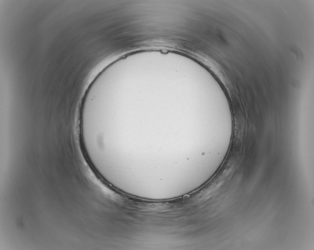 X0000110911387200907091427