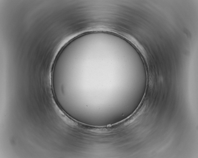 X0000110911388200907091427