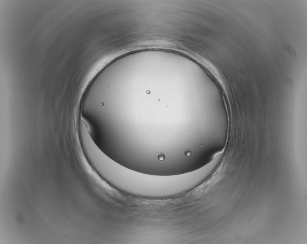 X0000110911389200907091427