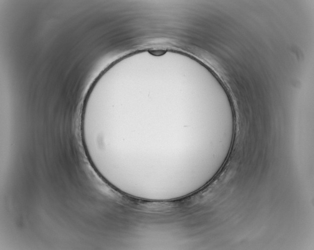 X0000110911392200907091427