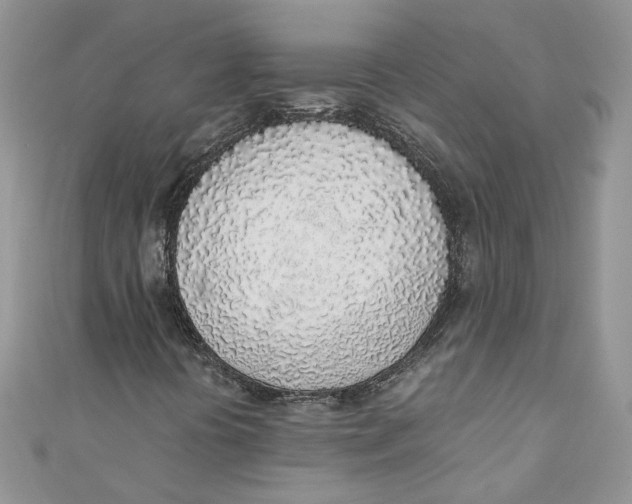 X0000110911394200907091427