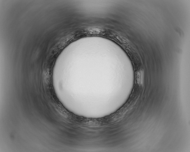 X0000110911395200907091427