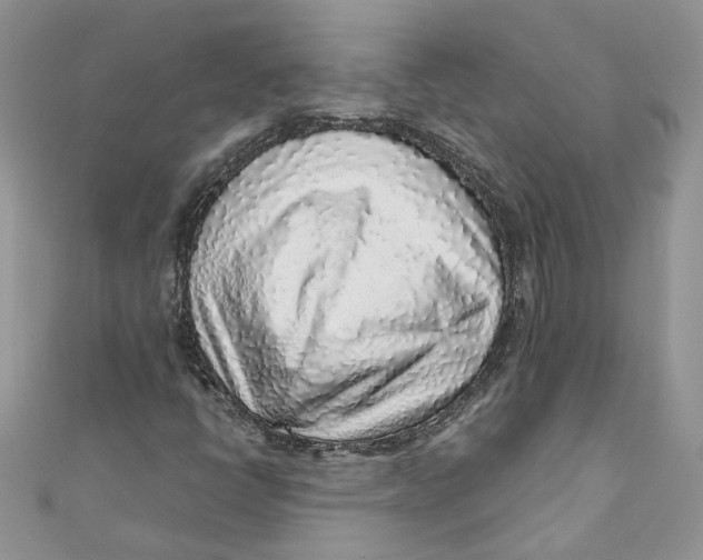 X0000110911398200907091427