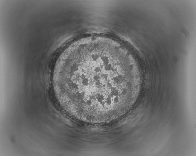 X0000110911399200907091427