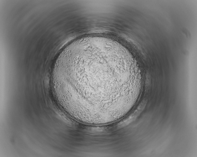 X0000110911401200907091427