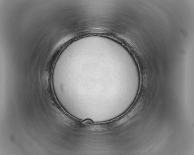 X0000110911402200907091427