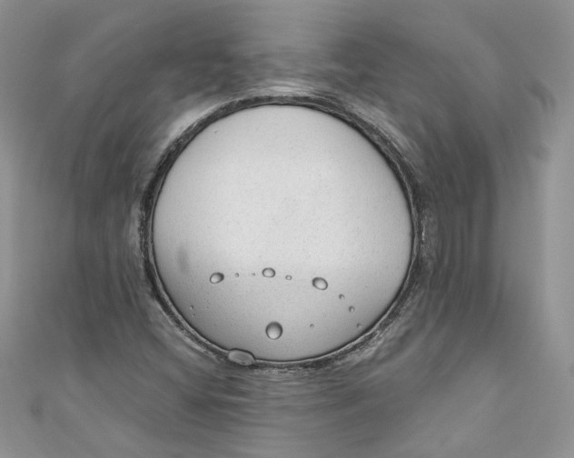 X0000110911404200907091427