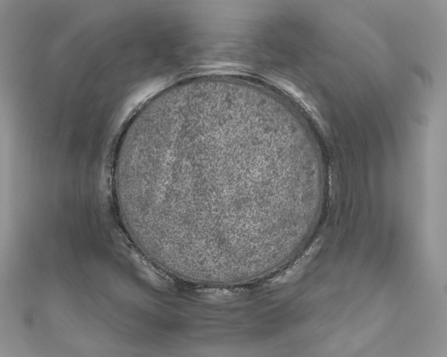 X0000110911405200907091427