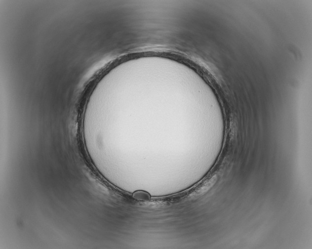 X0000110911406200907091427