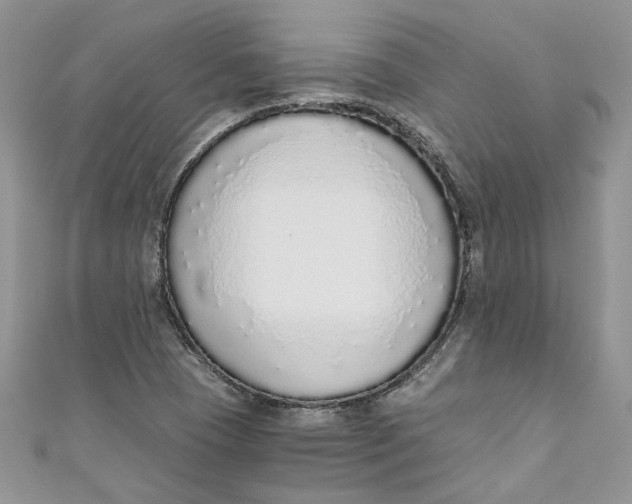 X0000110911409200907091427