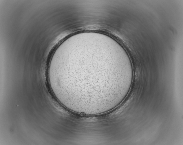 X0000110911410200907091427