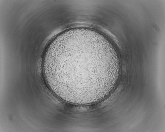 X0000110911411200907091427