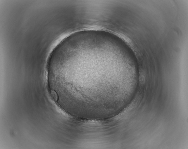 X0000110911414200907091427