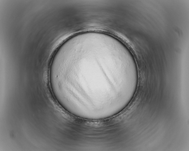 X0000110911415200907091427