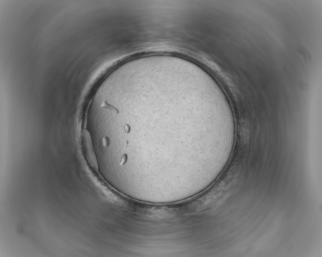 X0000110911416200907091427