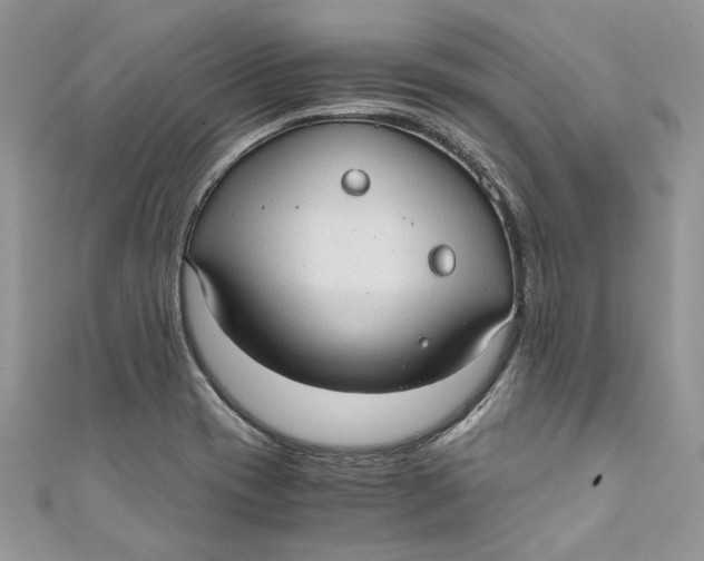 X0000110911417200907091427