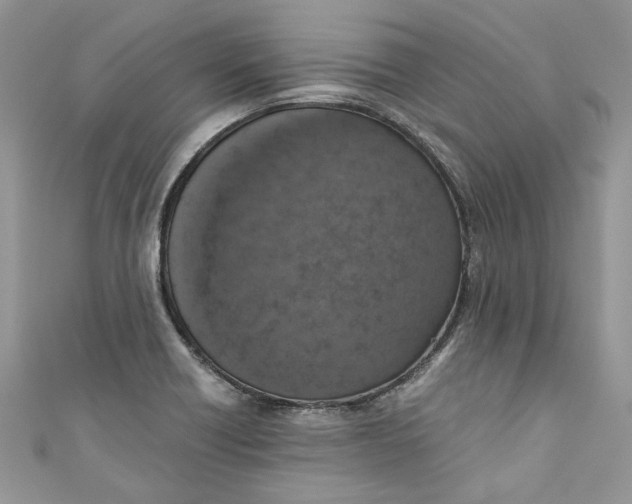 X0000110911418200907091427