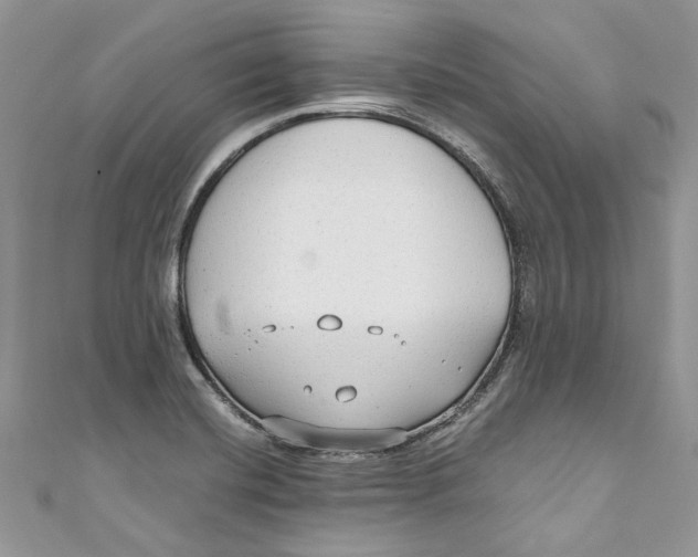 X0000110911420200907091427