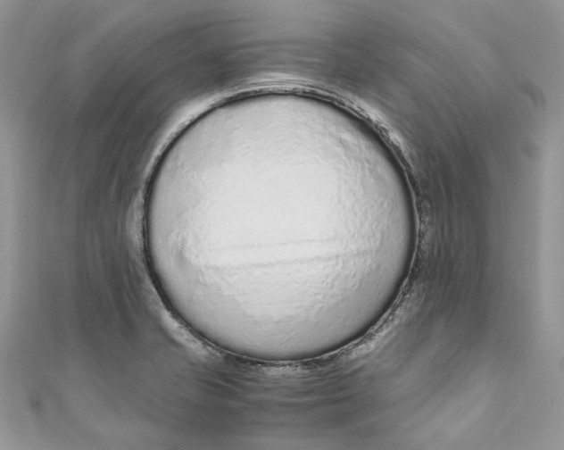 X0000110911421200907091427