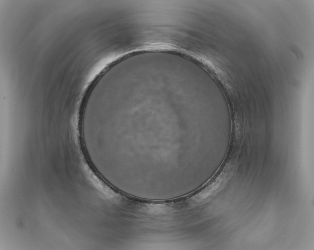 X0000110911422200907091427