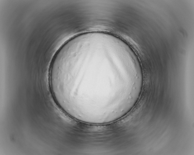 X0000110911423200907091427