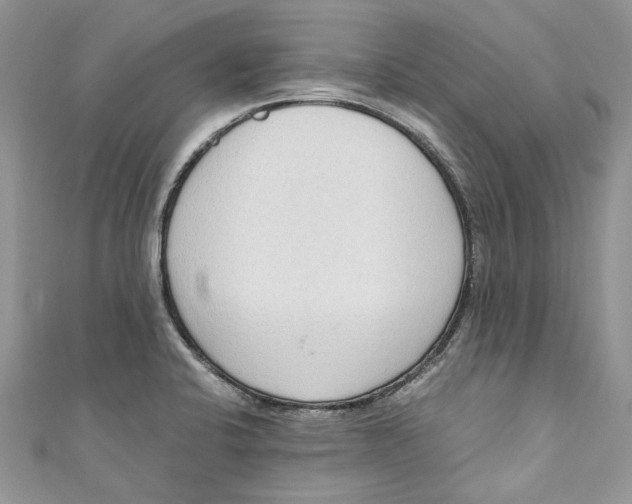 X0000110911424200907091427