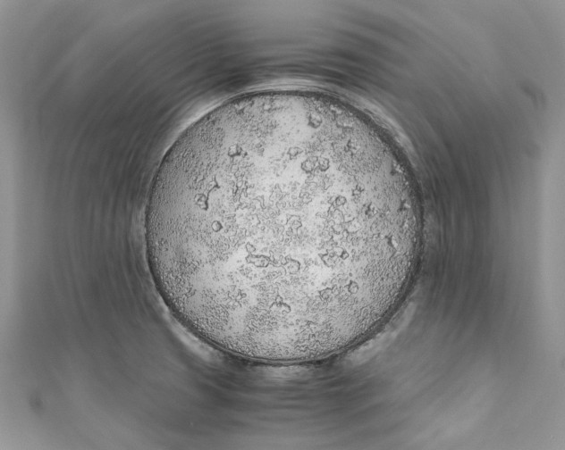 X0000110911425200907091427