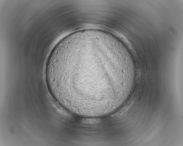 X0000110911427200907091427