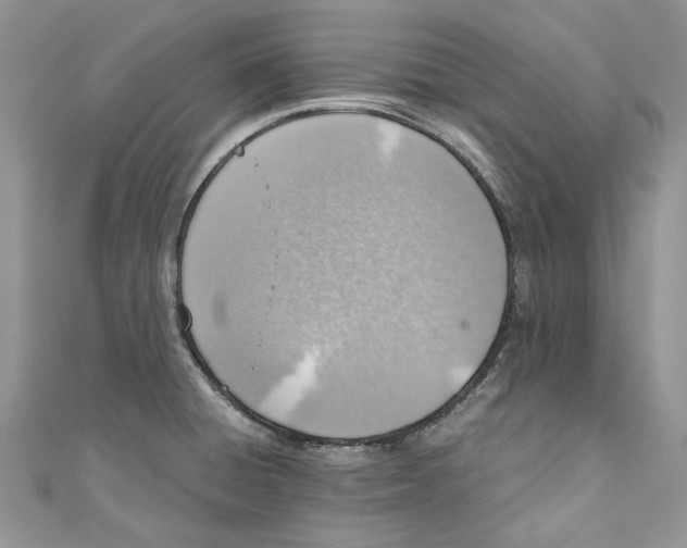 X0000110911428200907091427