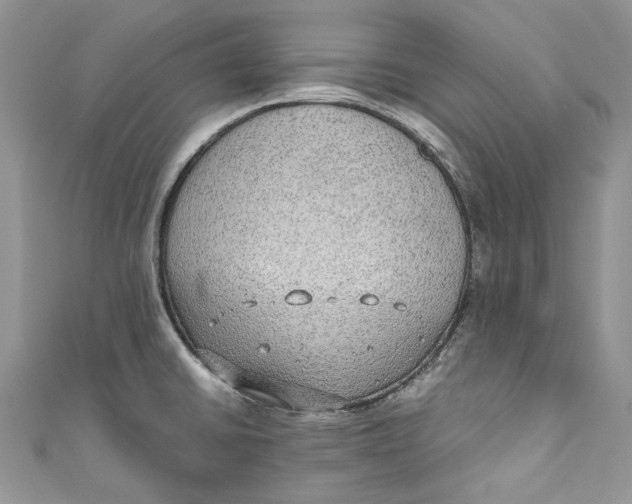 X0000110911430200907091427